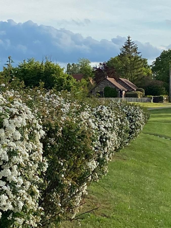 Les Cottages D'Orient Gite Boutique Mesnil-Saint-Père エクステリア 写真
