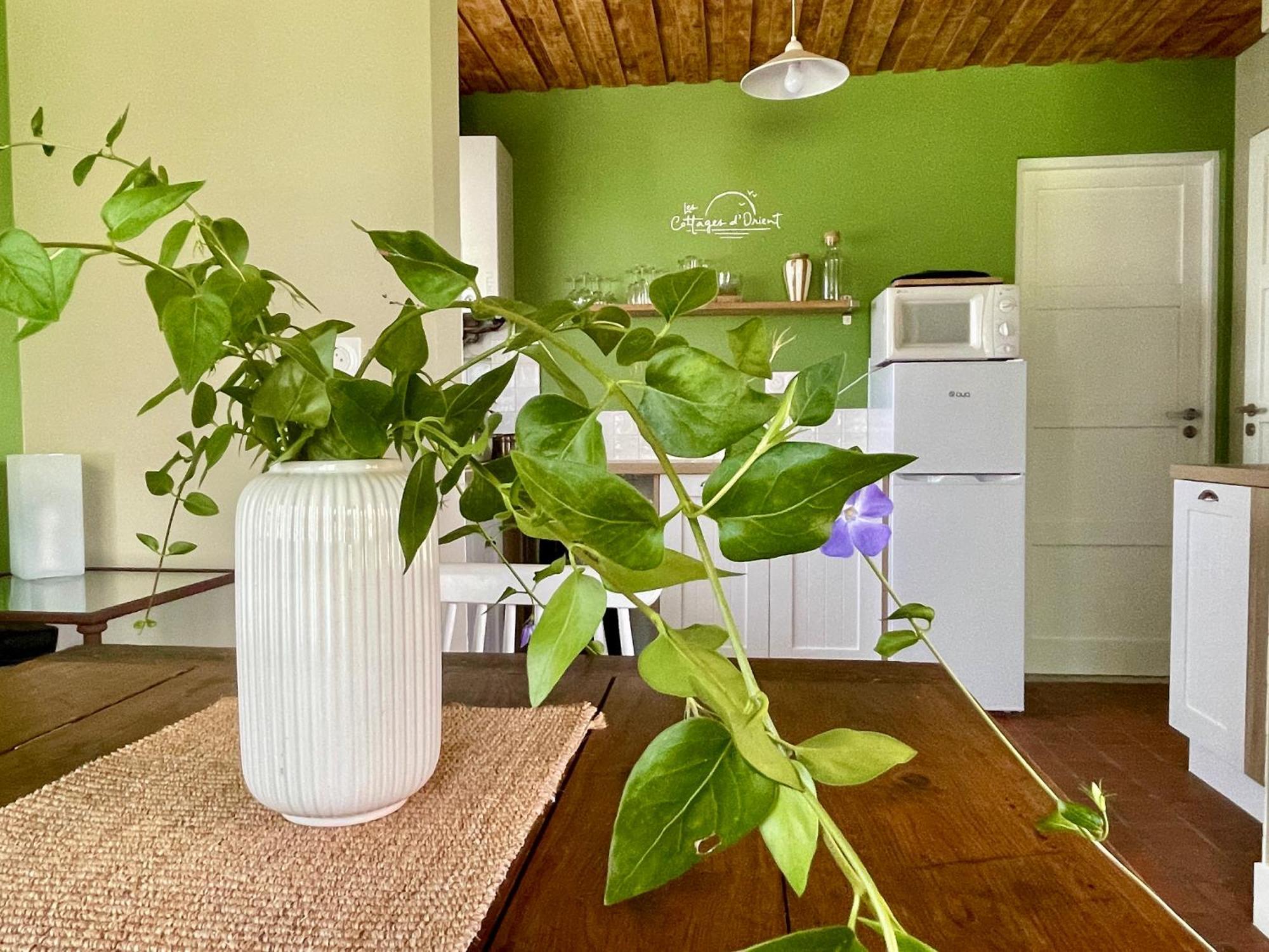 Les Cottages D'Orient Gite Boutique Mesnil-Saint-Père エクステリア 写真