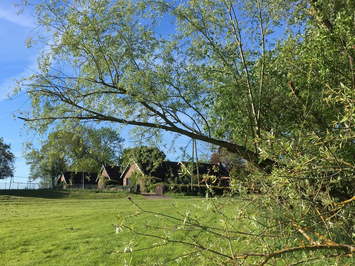 Les Cottages D'Orient Gite Boutique Mesnil-Saint-Père エクステリア 写真